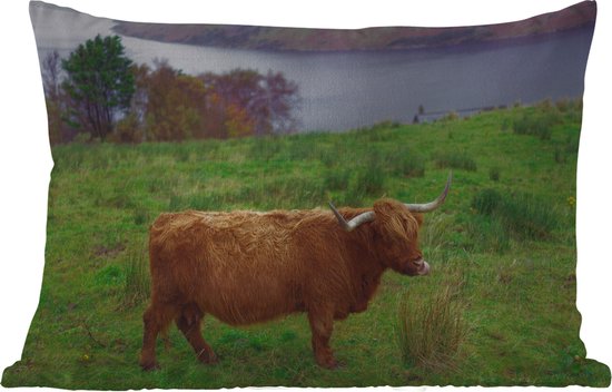 Buitenkussens - Tuin - Schotse hooglander in grasland - 60x40 cm