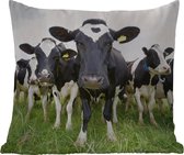 Coussin d'extérieur résistant aux intempéries - Vaches - Herbe - Printemps - Animaux - Pâturage - Ferme - 50x50 cm