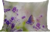 Buitenkussens - Lavendel - Vlinder - Bloemen - 60x40 cm - Weerbestendig