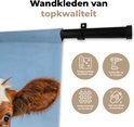 Product afbeelding  7