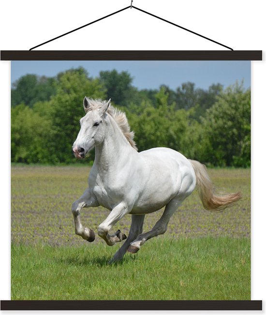 Porte-affiche avec affiche - Affiche scolaire - Paarden - Nature - Wit - 90x90 cm - Lattes noires