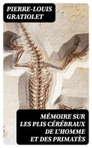 Mémoire sur les plis cérébraux de l'homme et des primatès