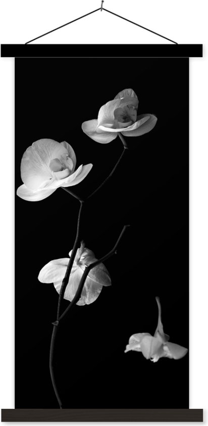 Porte-affiche incl. Affiche 40x80 cm - Affiche scolaire - Orchidée - Fleurs - Zwart - Wit - Nature morte - Affiche textile - Lattes noires