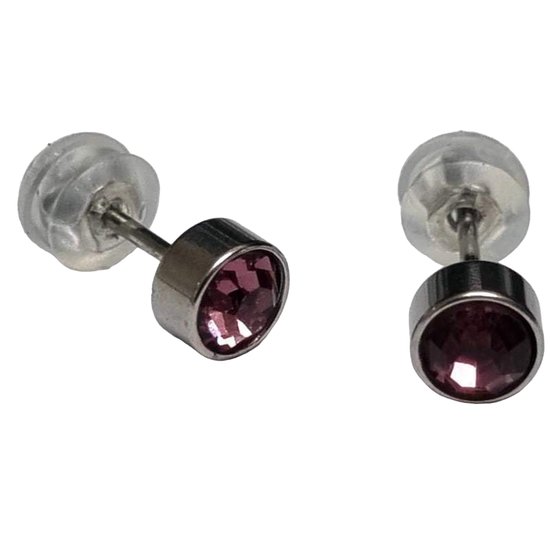 Aramat jewels ® - Zweerknopjes geboortesteen oorbellen februari licht paars chirurgisch staal 5mm
