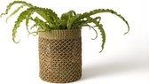 WinQ Mand Abaca groen - 31cm x 24 cm - opengevlochten groen / naturel- Plantenmand- Decoratiemand