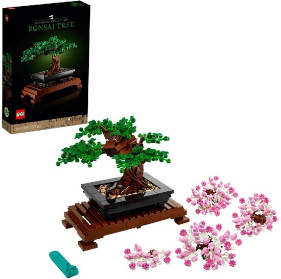 pinus mugo mops bonsai Mops Dwarf Mugo Pine main image 0