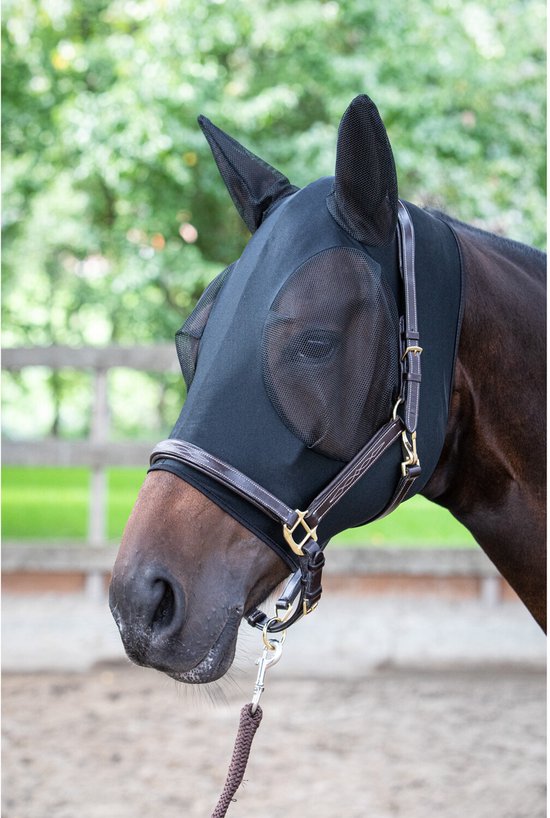 Zwart vliegenmasker met oren en bruine leren hoofdstel op bruin paard.