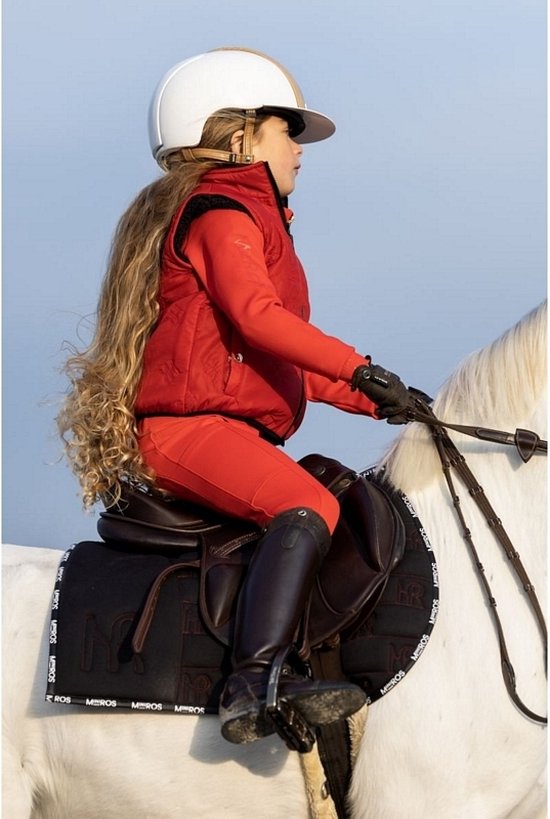 Ensemble de tapis de selle poney scintillants bordeaux : bordure en cristal argenté et voile anti-bruit - Canada