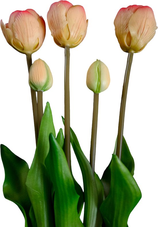 Real Touch Tulip Dubble Bundle x5 L44cm salmon - Real Touch Tulpen - salmon- Tulpen - Kunstbloemen - Kunst Tulpen - Kunst Boeket - Tulp - 44 CM - Zijden Bloemen - Latex Bloem - Bruiloft - Voorjaar - Lente