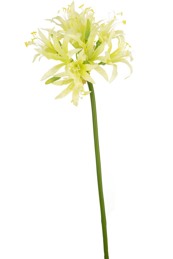 Kunstbloemen - Nepbloemen - Nerine - Zijde - Groen - 70 cm