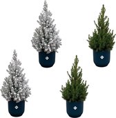 2x Kerstboom + 2x Kerstboom met sneeuw inclusief elho Vibes Fold Round blauw - Potmaat 22cm - Hoogte 60cm