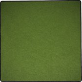 Hors ligne - Tapis de jeu : Tapis vert - 50x50 cm - Polyester