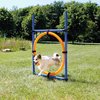 Trixie Dog Activity Agility Ring - Blauw/Oranje - 65 x 3 x 115 cm