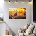 Een hert met geweien, staand in de ochtendzon op een bevroren heideveld. De poster hangt aan een witte muur op een balkon met stoelen.