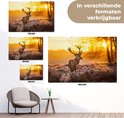 Demonstratie van de maten 120x80, 90x60 en 60x40 cm, en een 180x120 cm poster met een hert.