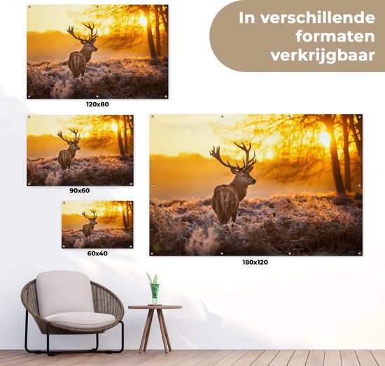Demonstratie van de maten 120x80, 90x60 en 60x40 cm, en een 180x120 cm poster met een hert.