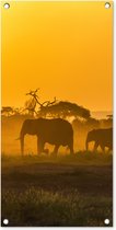 Tuinposter Kudde olifanten bij zonsopkomst - 40x80 cm - Wanddecoratie Buiten - Tuinposter - Tuindoek - Schuttingposter - Tuinschilderij