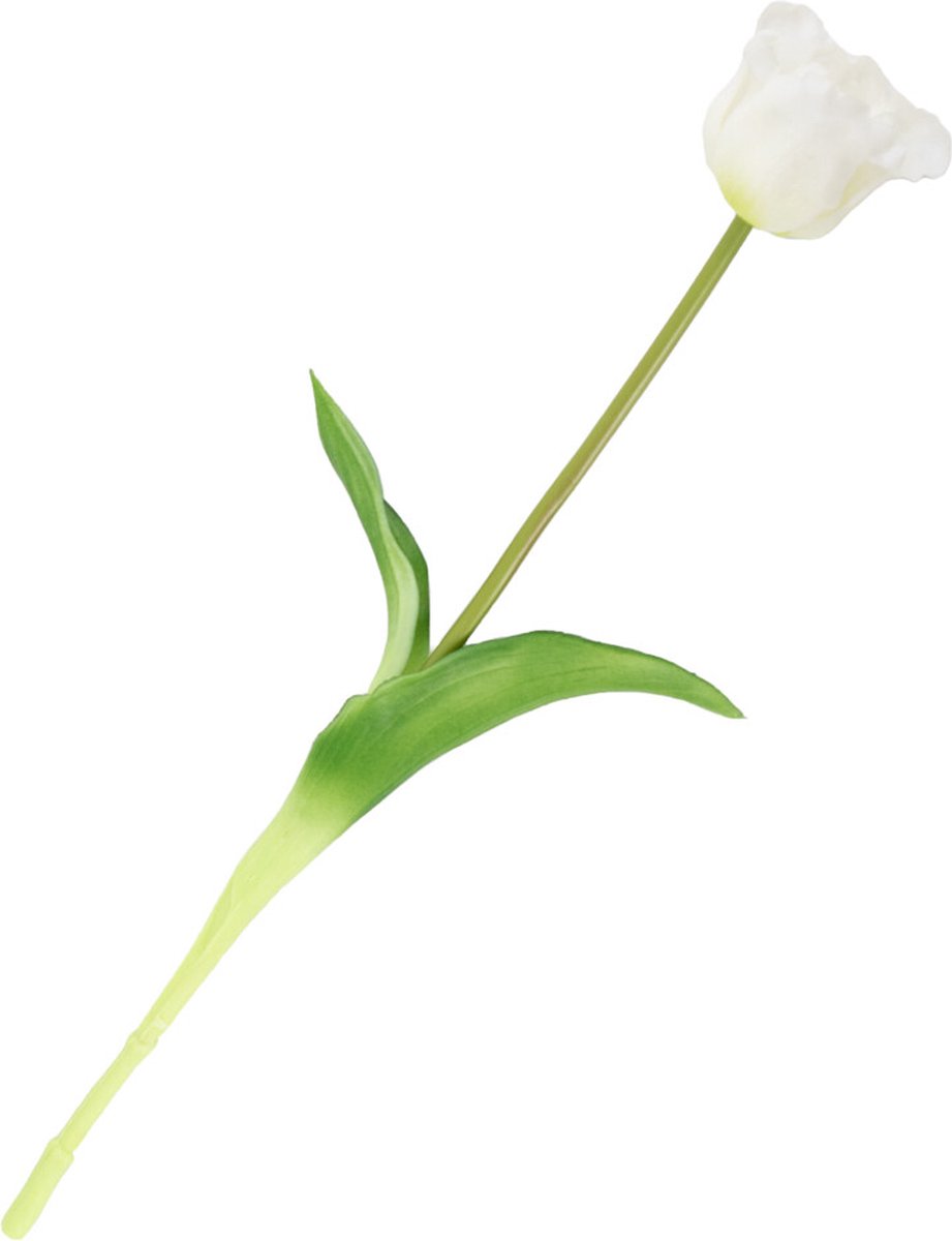 HomeBound by KY | Kunsttulp open real touch wit | kunstbloem