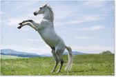 Muurdecoratie Paard - Steigeren - Natuur - 180x120 cm - Tuinposter - Tuindoek - Buitenposter
