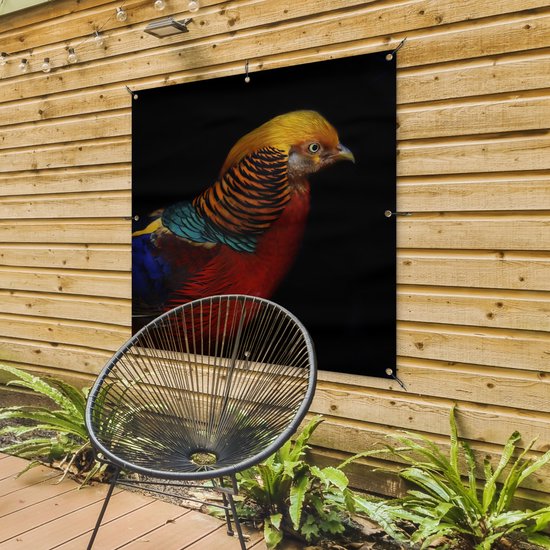 Affiche de jardin Faisan doré sur fond noir Toile en vrac 100x100 cm - Toile de jardin / Toile d'extérieur / Peintures d'extérieur (décoration de jardin)