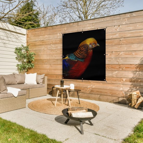 Affiche de jardin Faisan doré sur fond noir Toile en vrac 100x100 cm - Toile de jardin / Toile d'extérieur / Peintures d'extérieur (décoration de jardin)
