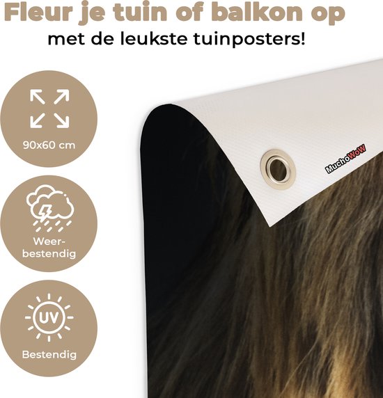 Tuinposter 90x60 cm - Tuindecoratie Leeuw - Vacht - Zwart - Poster voor in de tuin - Buiten decoratie - Schutting tuinschilderij - Tuindoek muurdecoratie - Wanddecoratie balkondoek