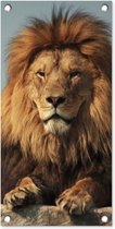 Affiche de jardin Lion - Rocher - Portrait - 30x60 cm