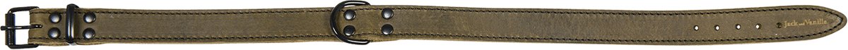 Jack And Vanilla - Halsbanden - Black Label Halsband - Groen - 10mmx25cm 45/7961 - 177658