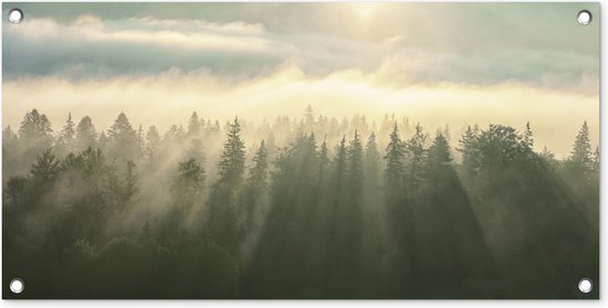 Poster de jardin Forêt - Brume - Soleil - 80x40 cm - Décoration murale Outdoor - Poster jardin - Toile jardin - Poster clôture - Tableau jardin