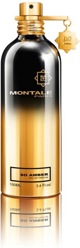 Montale Paris So Amber Eau De Parfum 100ml