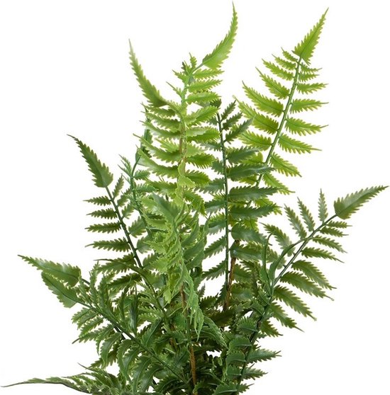 Verinatural