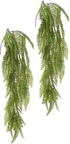 Louis Maes kunstplanten - 2x - Varen - groen - hangende takken bos van 70 cm - hangplant
