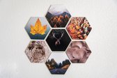 Hexagon Fix | Zelfklevend Magnetische Ophangplaat voor Dibond / Forex Fotopaneel | Inclusief bevestigingsmateriaal