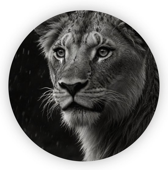 Welp leeuw - Dieren rond schilderij - Wanddecoratie rond leeuw - Landelijk schilderij - Wandcirkel - Kunstwerk - 75 x 75 cm 3mm