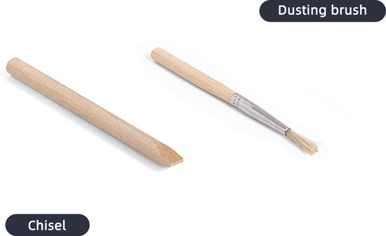 Andere Fossielen | Groot nieuw Assortiment