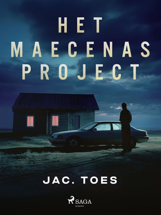 Het Maecenas-project - cover