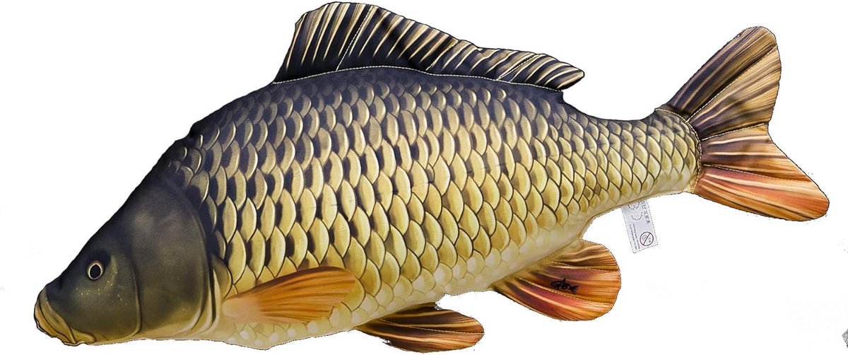 Eurocatch Karper Common Kussen Gigant - Knuffel - Sierkussen - Visknuffel - 100cm