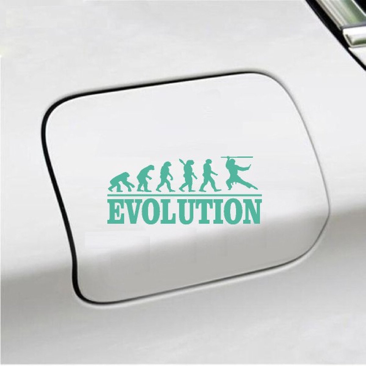 Bumpersticker - Evolution Ninja - 20x9.3 - Mint