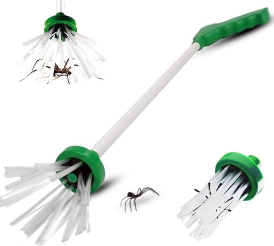 Spinnenvanger voor het vangen van insecten en muggen in HTML