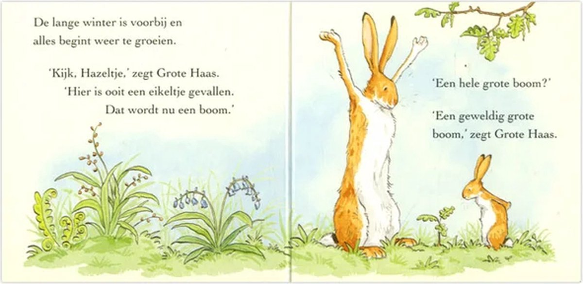 Raad eens hoeveel ik van je hou — cadeau in Boeken - foto 4