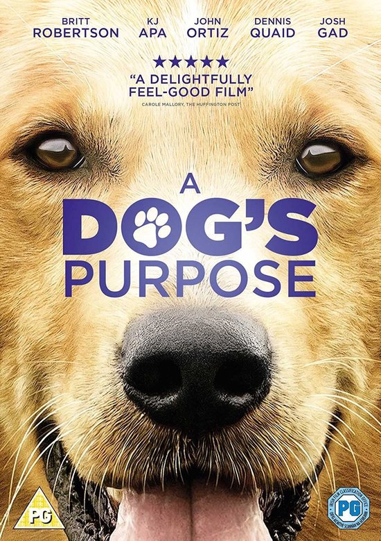 Een close-up van een gouden retriever hond met de tekst 'A DOG'S PURPOSE' erop.