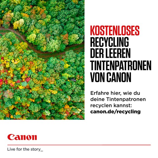 Luchtfoto van een herfstbos met een kronkelend pad. Tekst: 'KOSTENLOSES RECYCLING DER LEEREN TINTENPATRONEN VON CANON'.