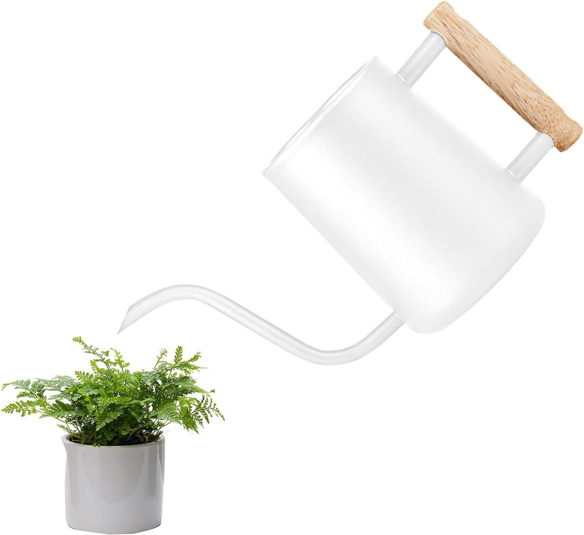 Metalen gieter voor kamerplanten - 1 liter - lange schenktuit - comfortabel houten handvat - tuinpotten voor binnenshuis