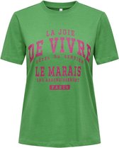 Only T-shirt Onlregina Ss Reg Tee Cs Jrs 15319748 Green Bee/de Vivre Dames Maat - XL