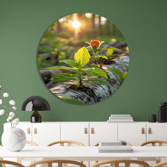 Plant wandschalen - Flora wandcirkel - Muurcirkel Zon - Schilderij vintage - Wanddecoratie rond - Kantoor decoratie muurcirkel aluminium 70x70 cm