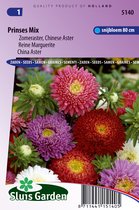 Jardin Sluis - Aster Princess Mix (Summer Aster)