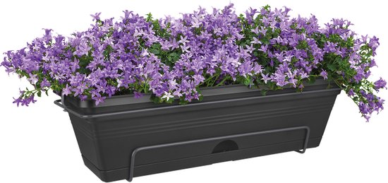 Elho Vibia Campana Balkonbak 70 - Plantenbak voor Balkon - 69.0 x H 17.0 cm - Poederroze