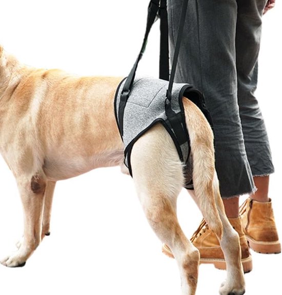 Hondenharnas - Hulpharnas voor huisdieren, ondersteuningssjaal voor honden | Verstelbare draagdoek voor honden, hefvest voor puppy's met dikke handgreep p