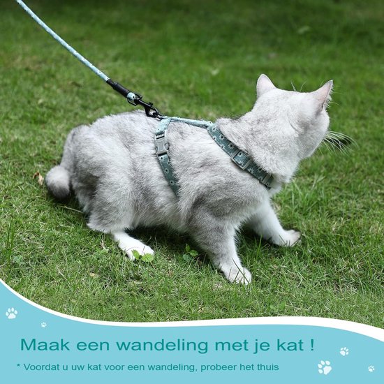 Floxik Premium hondenriem, oranje, 3 m, verstelbaar, robuuste en stijlvolle schouderlijn voor kleine en middelgrote honden Floxik Premium hondenriem, oranje, 3 m, verstelbaar, robuuste en stijlvolle schouderlijn voor kleine en middelgrote honden