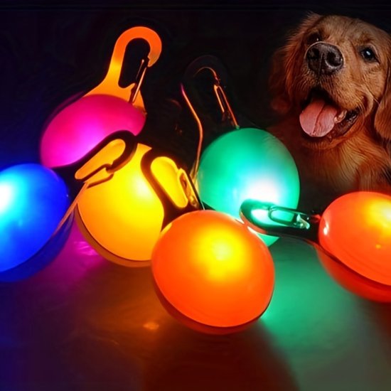 Bovista Collier Lumineux - Collier Lumineux - Lumineux - Chien - Chat - Lumineux - Collier pour Chien LED - Clip-On - Blauw